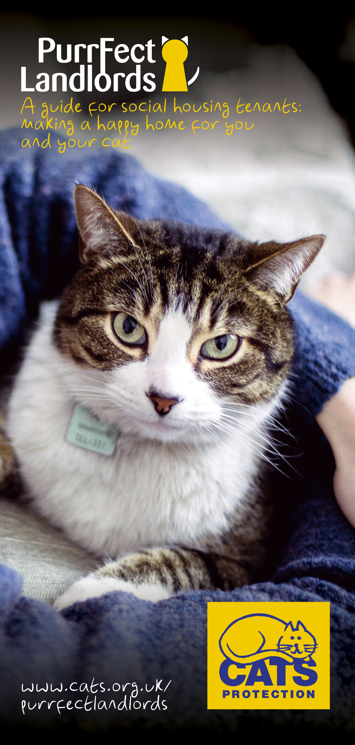 Social tenant Purrfect Landlords Cats Protection